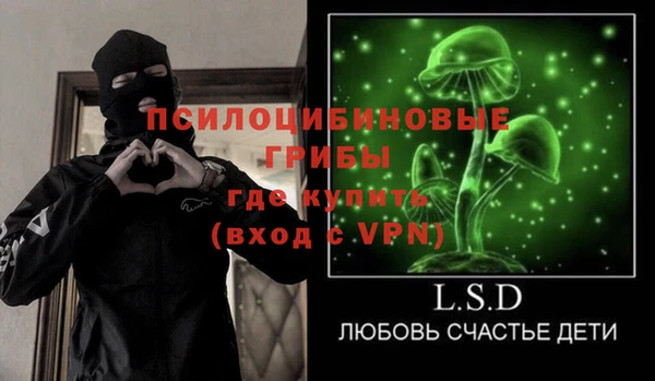 ПСИЛОЦИБИНОВЫЕ ГРИБЫ Нязепетровск