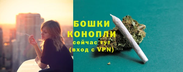 ПСИЛОЦИБИНОВЫЕ ГРИБЫ Нязепетровск